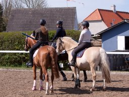 IMG_1721_web